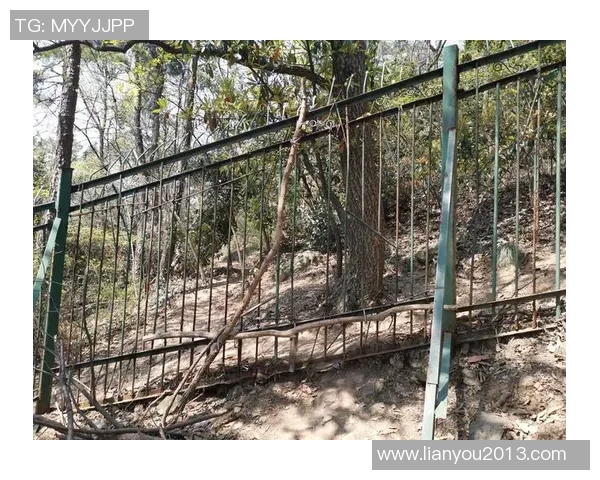 吴丽专访：从初学者到攀岩高手的成长与挑战之路